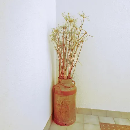 In Near Slopes Appartement